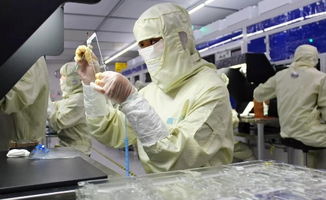 中國大步邁向手機(jī)面板強國 晶科微電子的引領(lǐng)之路